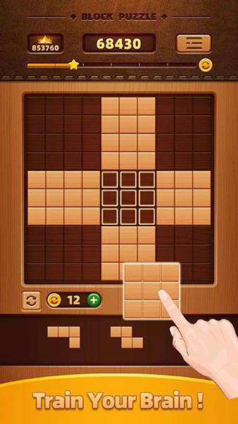 ľƴͼWood Block Puzzleƽv1.0.2׿ͼ3