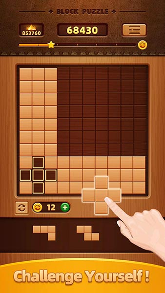 ľƴͼWood Block Puzzleƽv1.0.2׿ͼ2