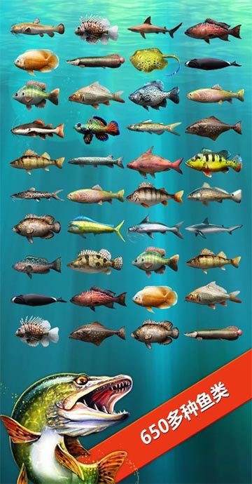 LetsFIsh°v6.1.1°ͼ2