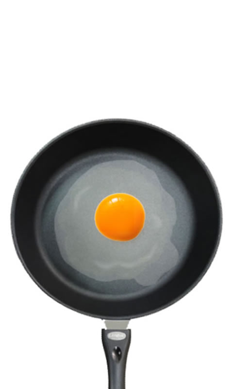 Fried Egg嵰
