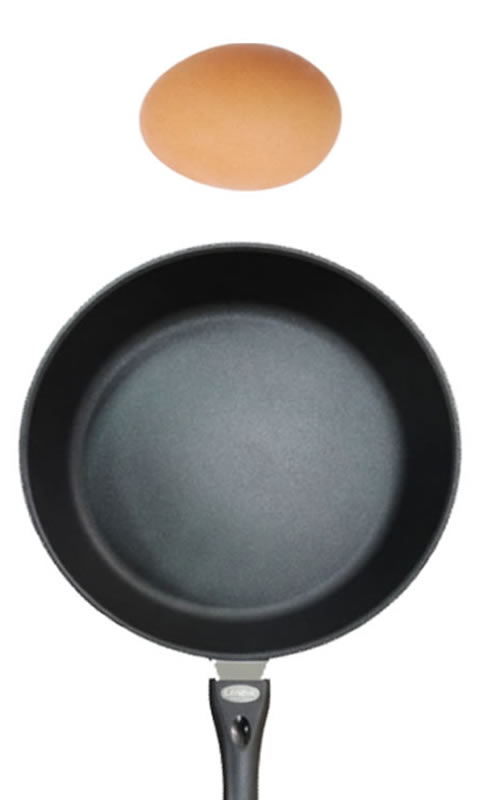 Fried Egg嵰v1.0°ͼ0