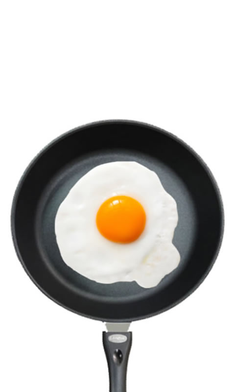 Fried Egg嵰v1.0°ͼ3