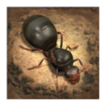 ССϹ(The Ants)ιʰ