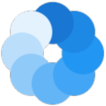 Bluecoins解锁高级功能版 v12.9.2-11696免费版