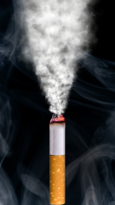 itsmoking°v1.4ֻͼ2