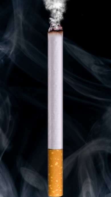itsmoking°v1.4ֻͼ1