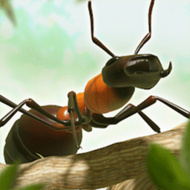 蚂蚁指挥官游戏中文官方版 v1.0.0安卓版