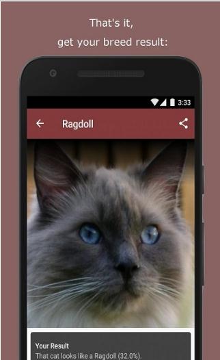 èappֻv4.3.2׿ͼ0