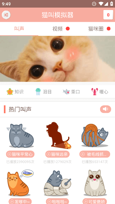 èģappѹٷ