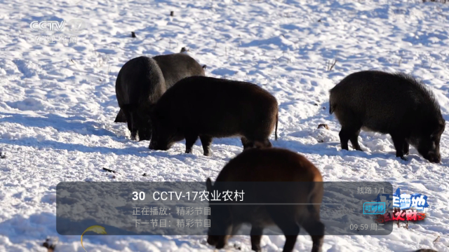 ΢TV2024µӰv1.2׿ͼ2