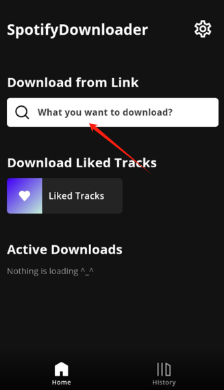 spotify downloaderֻ