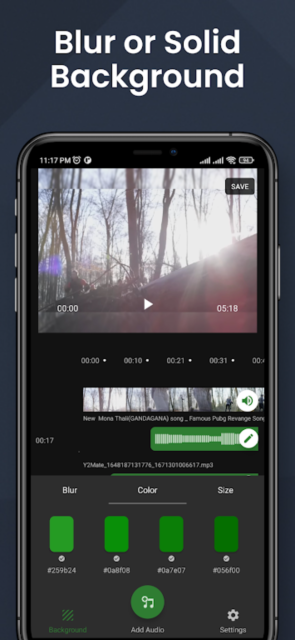 add audio to videoİͼ2