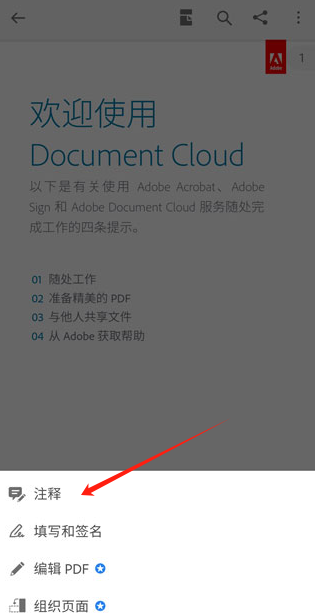 Adobe Acrobat Readerֻ