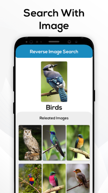 ͼ(Reverse Photo Search)Ѱv1.0.8°ͼ3