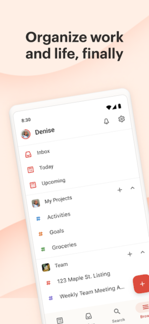 Todoist׿ͼ1