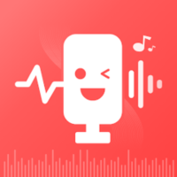 voicefun׿