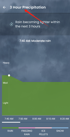 The Weather Network׿