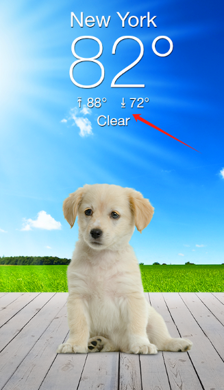 Weather Puppyٷ