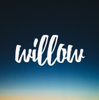 Willowⰲ׿ v3.16.4Ѱ