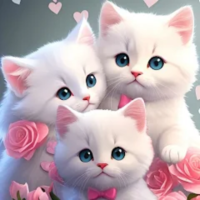 cute cats wallpapersèֻֽ v56.0°