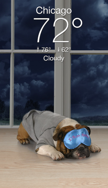 Weather Puppyٷv6.0.1׿ͼ0