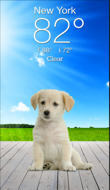 Weather Puppyٷv6.0.1׿ͼ3