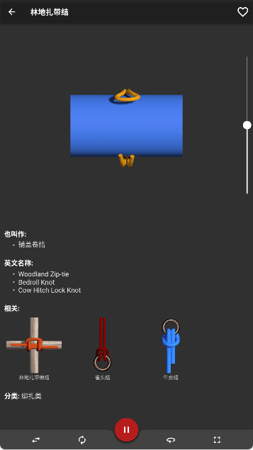 Knots 3D¸߼v8.8.1׿ͼ1