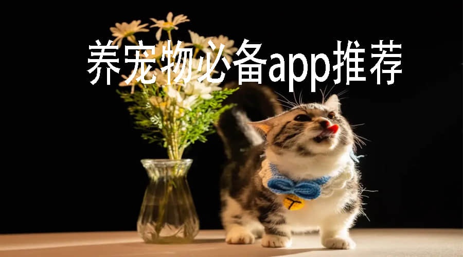 appЩ-appƼ-appȫ