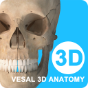 ά3DѰ v6.5.0׿