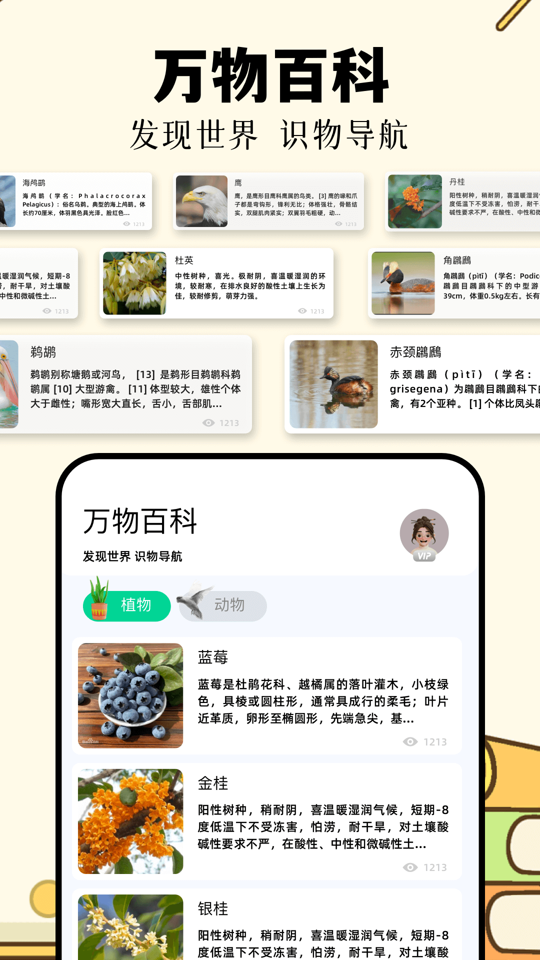 ʶɨһɨapp°v1.11 ׿
