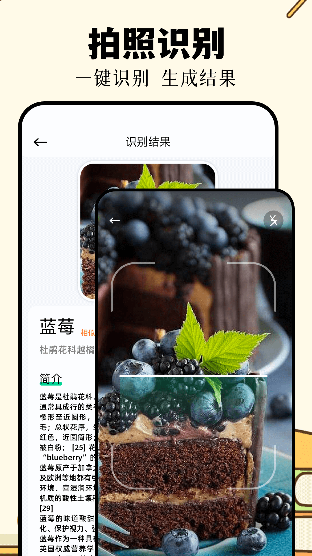 ʶɨһɨapp°v1.11 ׿