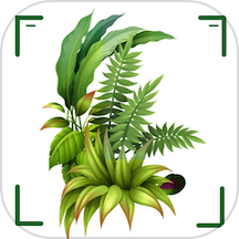 ʶɨһɨapp°v1.11 ׿