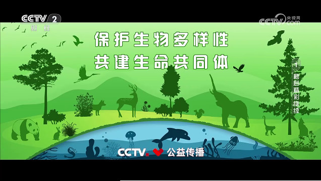 tvƵappذ׿v5.9.12.141 Ѱ