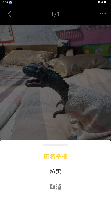 云信青春路上聊天交友软件下载截图