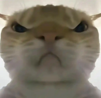 ж󹤾ֻv1.0 ׿