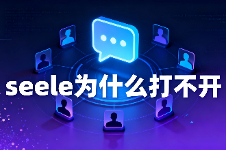 seeleΪʲô򲻿 seeleô¼
