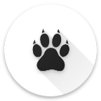 Amarok°汾v0.9.3 ׿