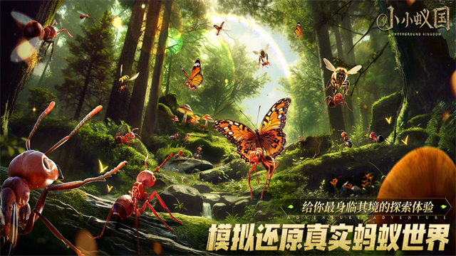 ϵֻ(The Ants)v3.79.0 ׿