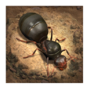ϵֻ(The Ants)v3.79.0 ׿