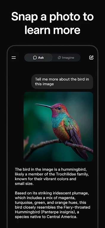 grok4Ѱذװv1.0.76 Ĺٷ