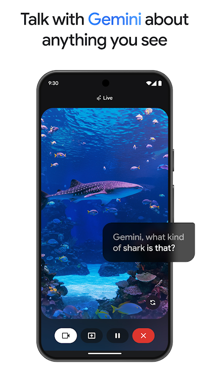 gemini ai3.0ģعٷv1.0.795460806 ׿