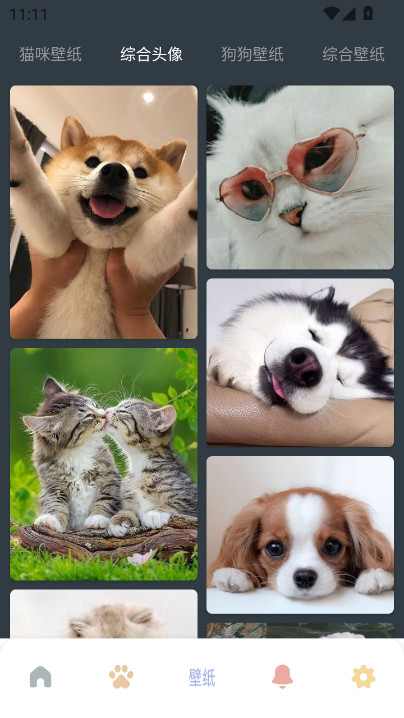 Fatty catذװv1.11 °