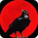 乌鸦之霜手游下载最新版v1.2.17 安卓版