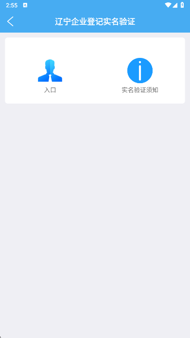 辽宁企业登记实名验证app官方版下载截图