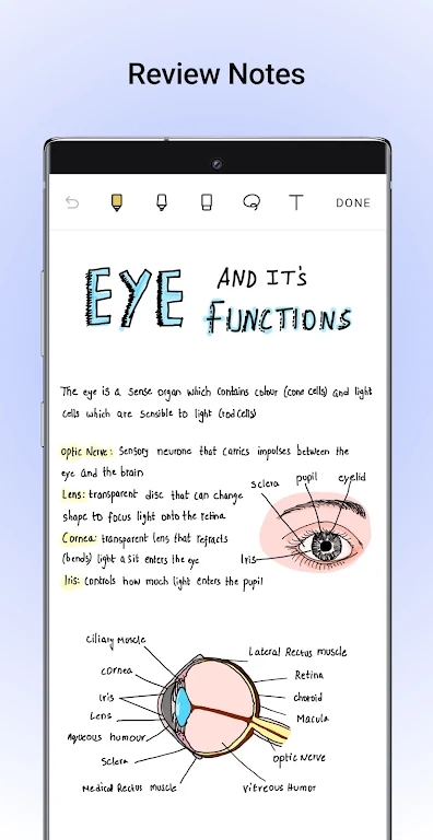 Noteshelf安卓下载官方版截图