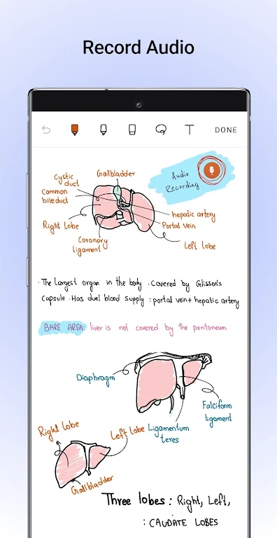 Noteshelf安卓下载官方版截图