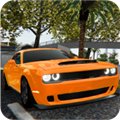 �������ɼ�ʻ��������(Fast&Grand Car Driving Simulator)v10.0.1 ��׿��