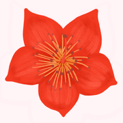 ���ҳ���app���°�����v2.3.0 ��׿��