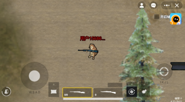 ޹޹