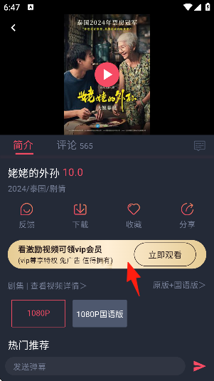 2025°汾